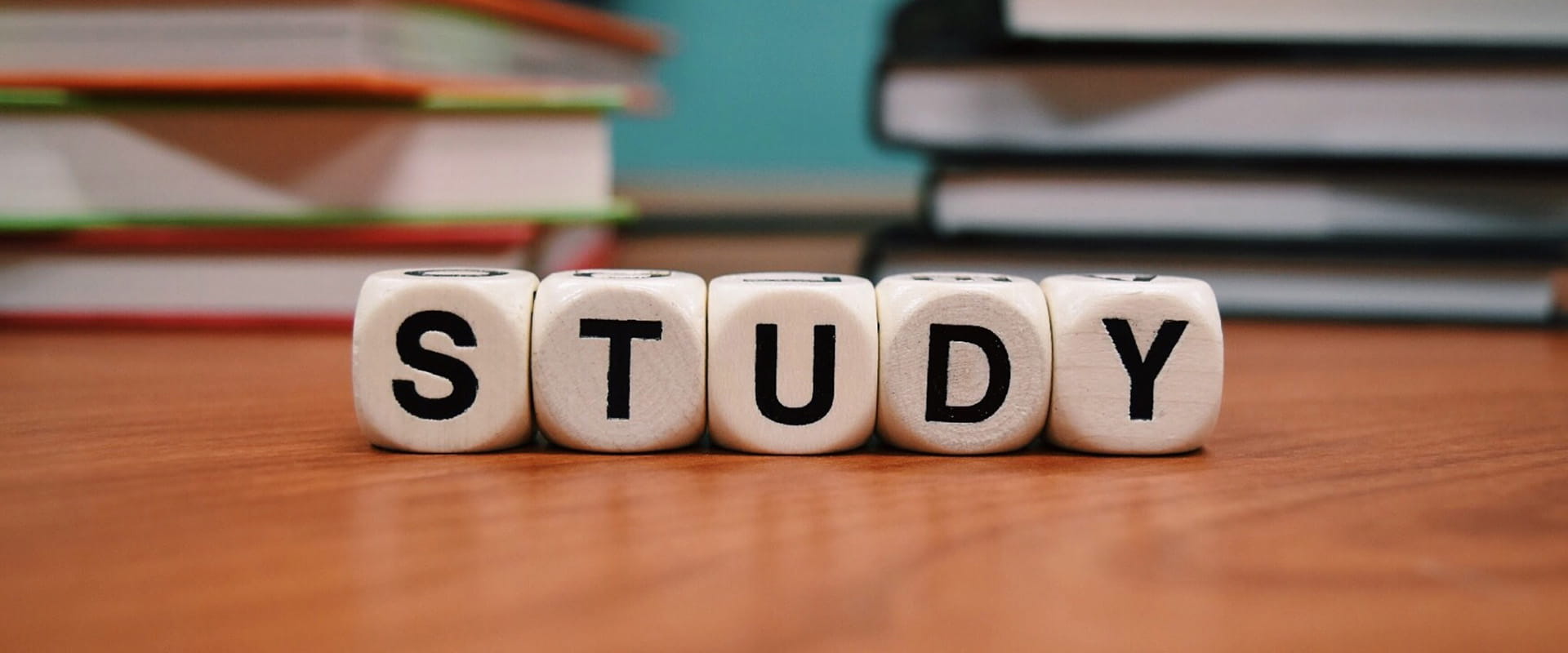 Bright Horizons Case Studies